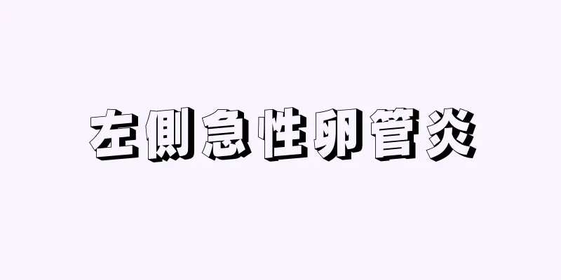 左側急性卵管炎