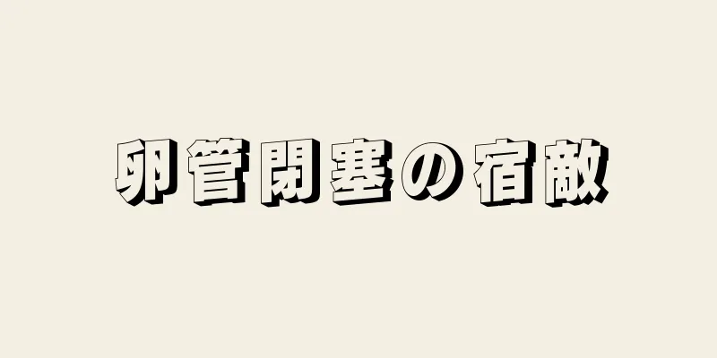 卵管閉塞の宿敵