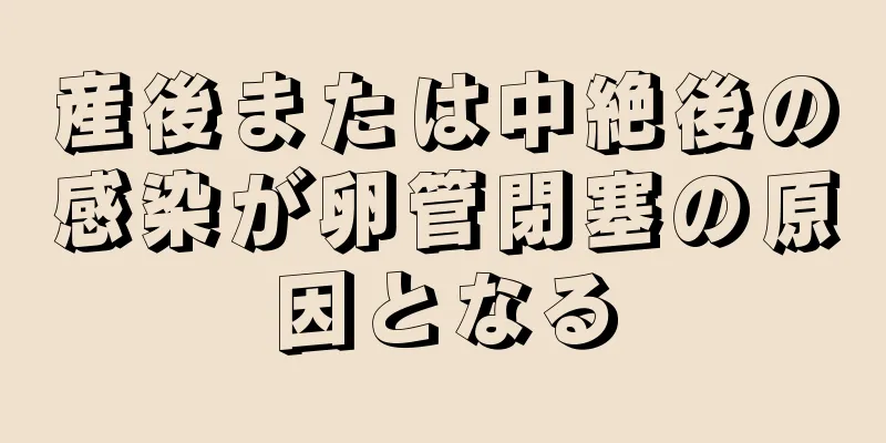 産後または中絶後の感染が卵管閉塞の原因となる