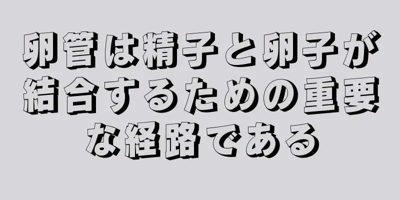 卵管は精子と卵子が結合するための重要な経路である