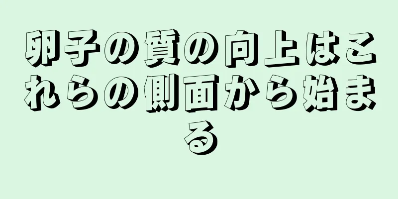 卵子の質の向上はこれらの側面から始まる