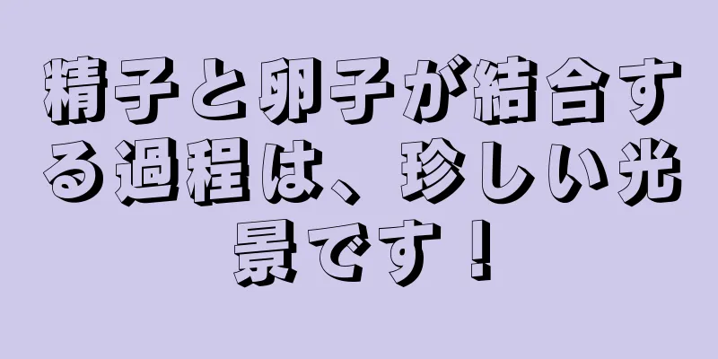 精子と卵子が結合する過程は、珍しい光景です！