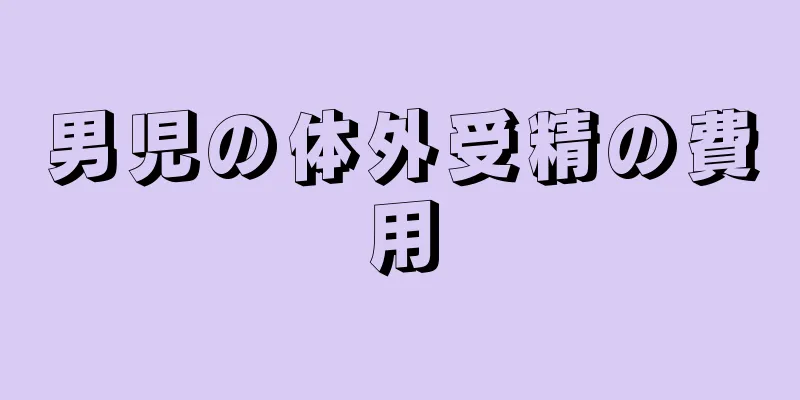 男児の体外受精の費用
