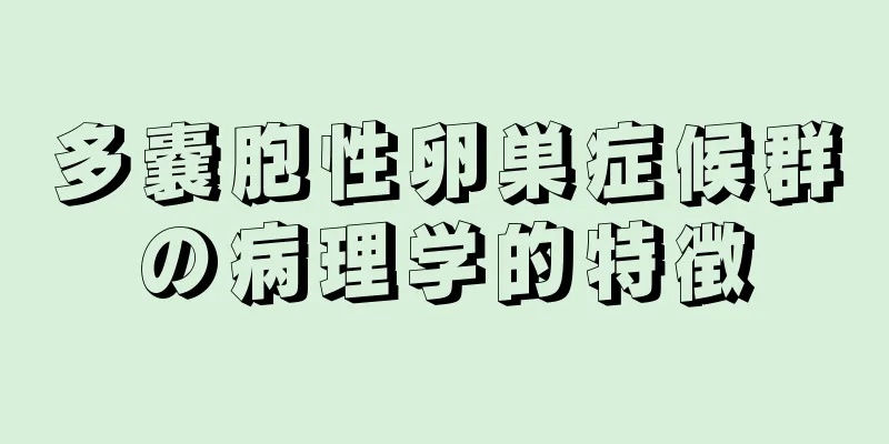 多嚢胞性卵巣症候群の病理学的特徴