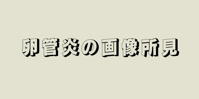 卵管炎の画像所見