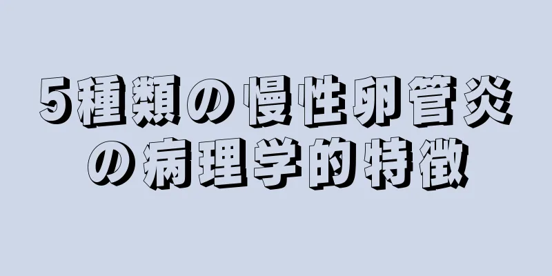 5種類の慢性卵管炎の病理学的特徴