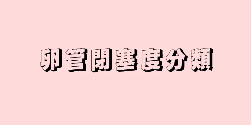 卵管閉塞度分類