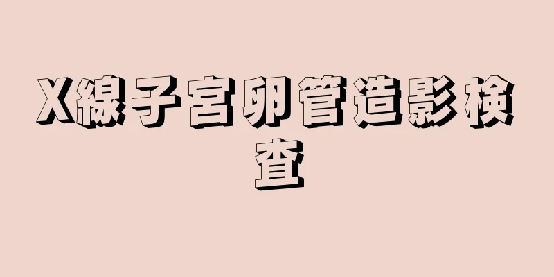 X線子宮卵管造影検査