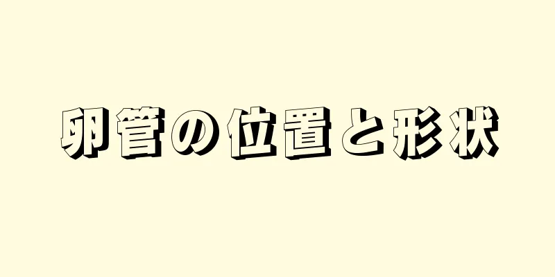 卵管の位置と形状