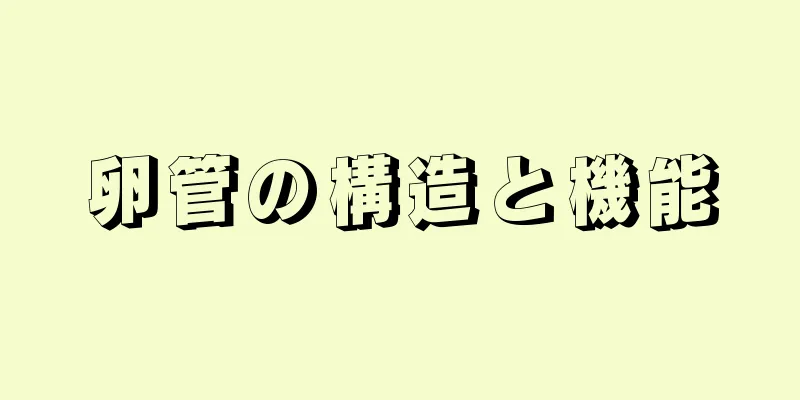 卵管の構造と機能