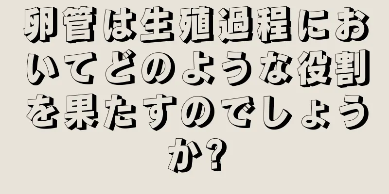 卵管は生殖過程においてどのような役割を果たすのでしょうか?