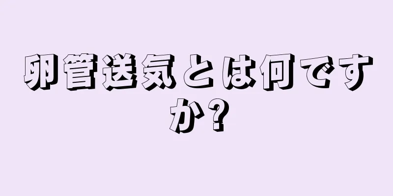 卵管送気とは何ですか?