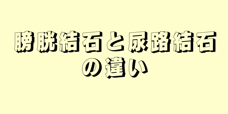 膀胱結石と尿路結石の違い