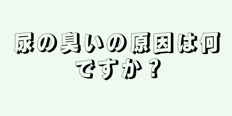 尿の臭いの原因は何ですか？