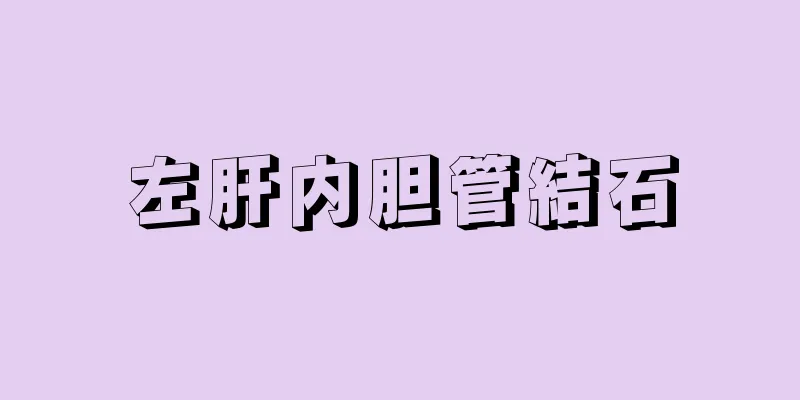左肝内胆管結石