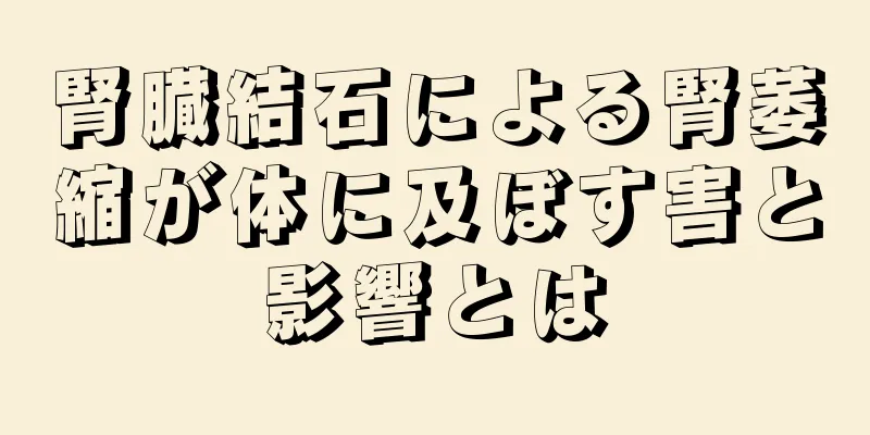 腎臓結石による腎萎縮が体に及ぼす害と影響とは