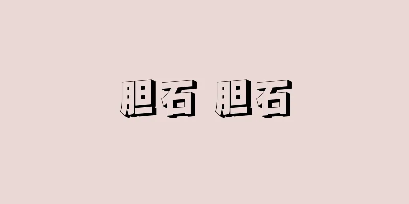 胆石 胆石