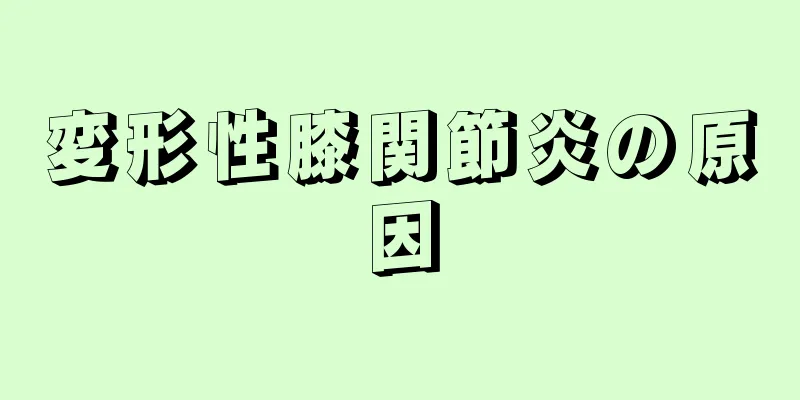 変形性膝関節炎の原因