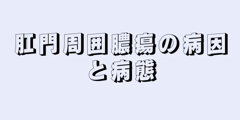 肛門周囲膿瘍の病因と病態