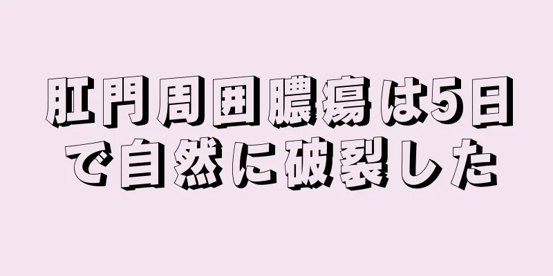 肛門周囲膿瘍は5日で自然に破裂した