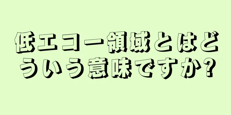 低エコー領域とはどういう意味ですか?