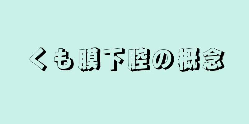 くも膜下腔の概念