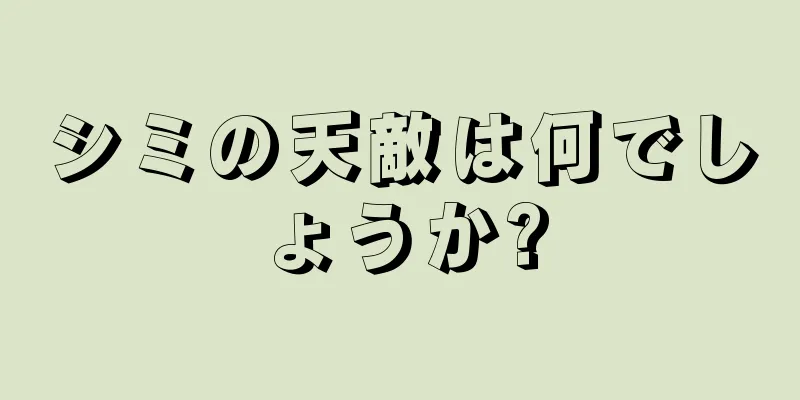 シミの天敵は何でしょうか?
