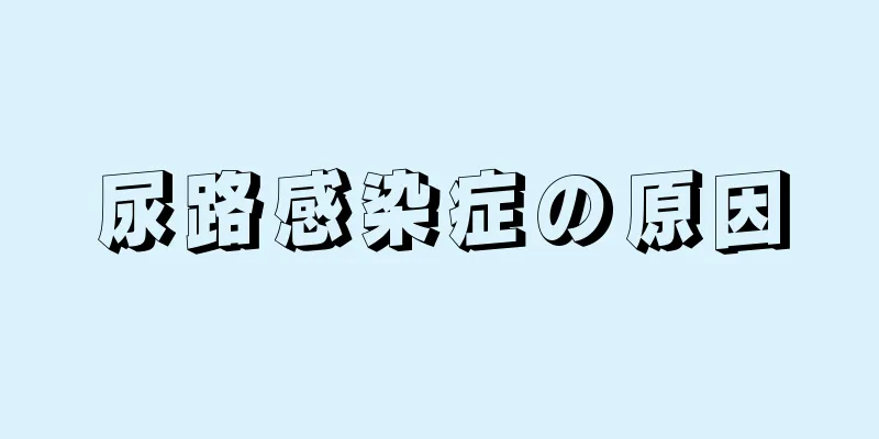 尿路感染症の原因