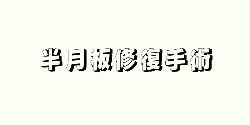 半月板修復手術