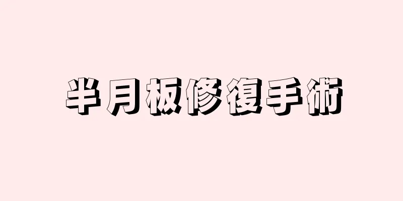 半月板修復手術