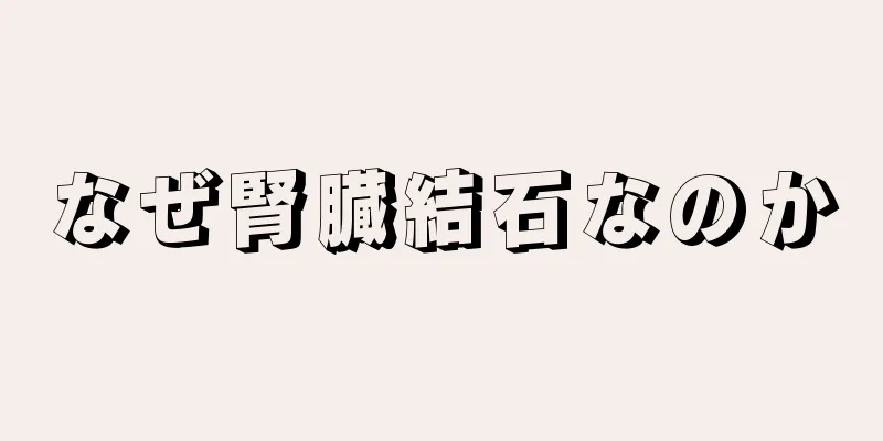 なぜ腎臓結石なのか
