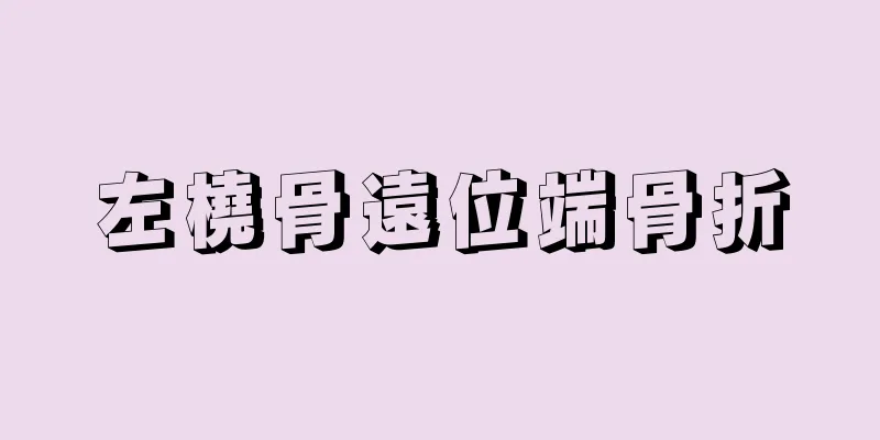 左橈骨遠位端骨折