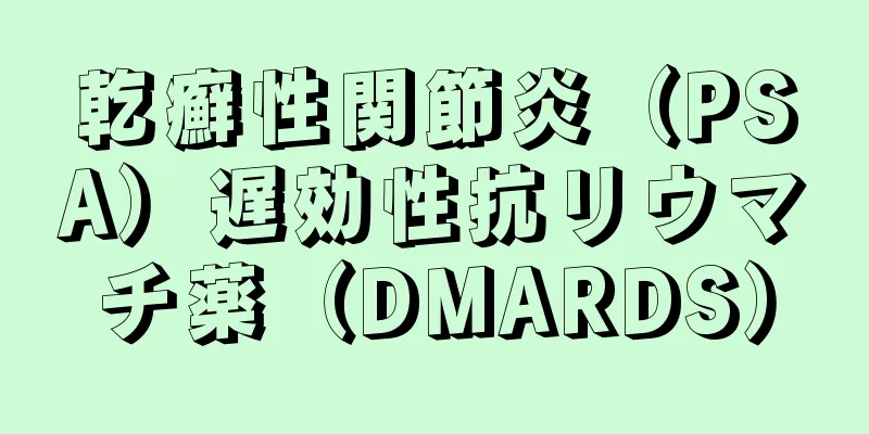 乾癬性関節炎（PSA）遅効性抗リウマチ薬（DMARDS）