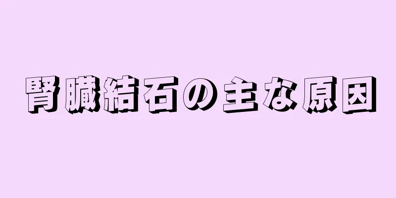 腎臓結石の主な原因