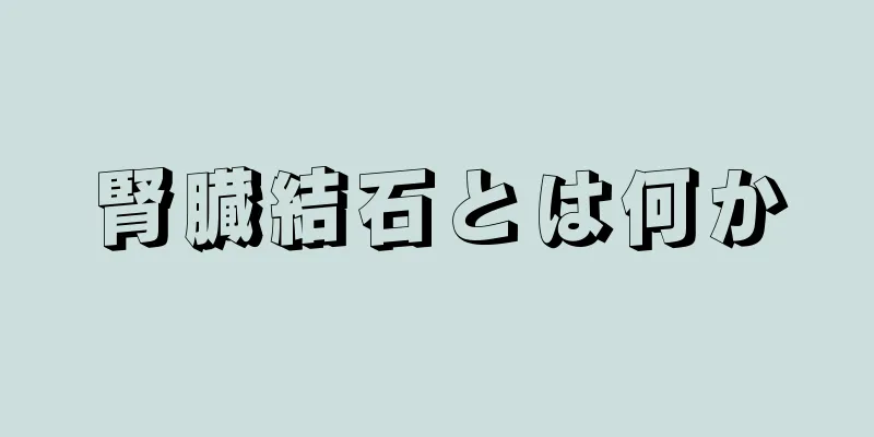 腎臓結石とは何か