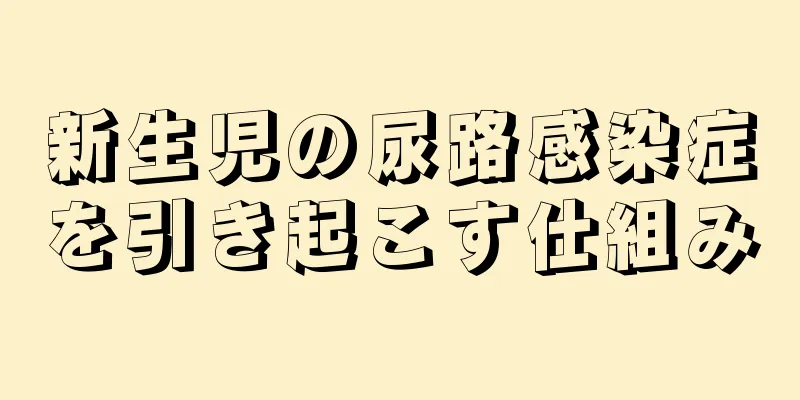 新生児の尿路感染症を引き起こす仕組み