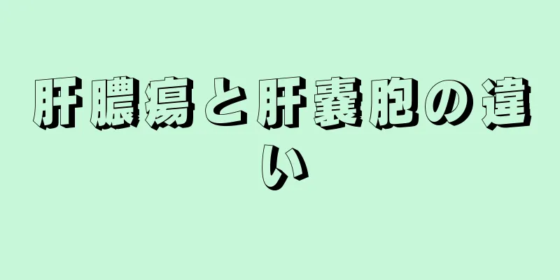 肝膿瘍と肝嚢胞の違い