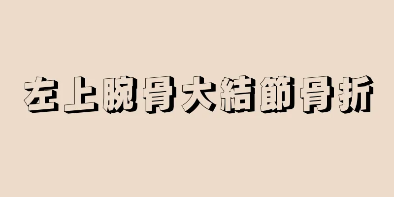 左上腕骨大結節骨折