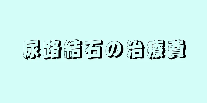 尿路結石の治療費