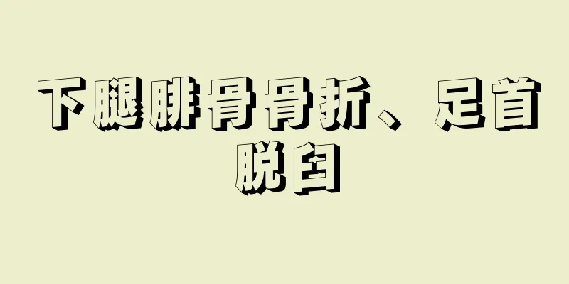 下腿腓骨骨折、足首脱臼