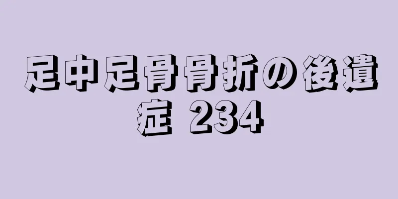 足中足骨骨折の後遺症 234