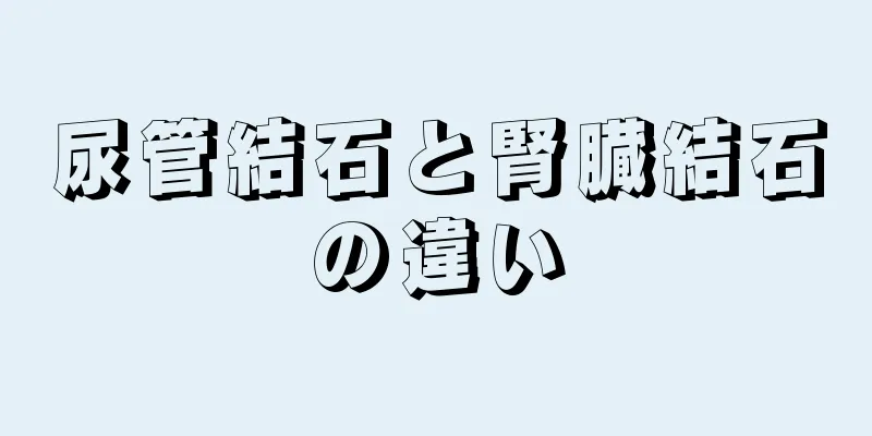 尿管結石と腎臓結石の違い