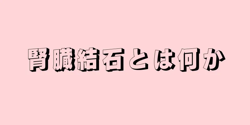 腎臓結石とは何か