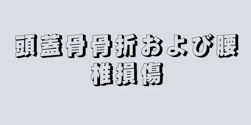 頭蓋骨骨折および腰椎損傷