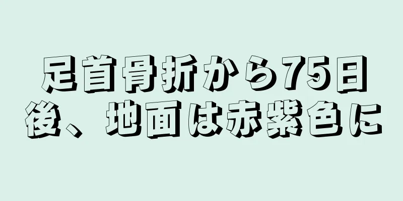 足首骨折から75日後、地面は赤紫色に
