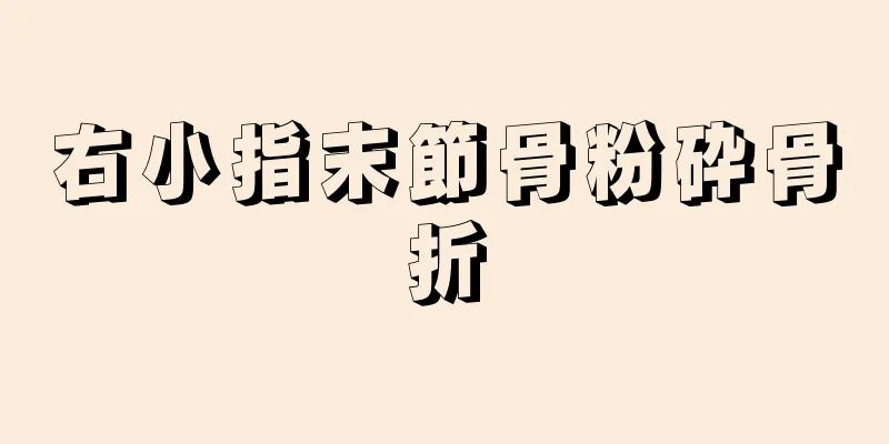 右小指末節骨粉砕骨折
