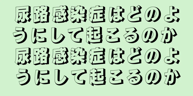 尿路感染症はどのようにして起こるのか 尿路感染症はどのようにして起こるのか