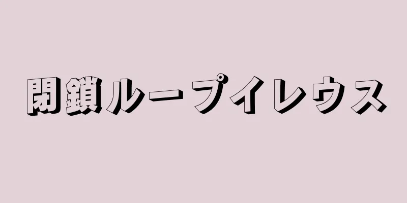 閉鎖ループイレウス