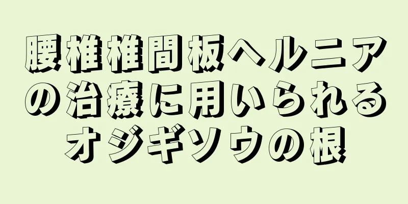 腰椎椎間板ヘルニアの治療に用いられるオジギソウの根
