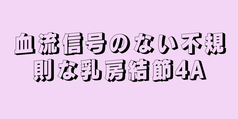 血流信号のない不規則な乳房結節4A